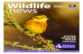 Wildlife News December 2012