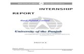 21382361 Bank Alfalah Internship Report