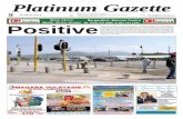 Platinum Gazette 15 March 2013