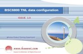 BSC6800 TNL Data Configuration