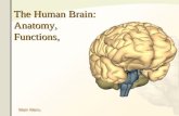 kuliah 7 otak