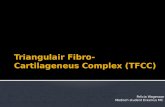 Triangular Fibrocartilage Complex (Dutch)