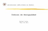 UNIVERSIDAD COMPLUTENSE DE MADRID Índices de Desigualdad Rafael Salas Mayo de 2011.