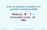 Revision N° 13ICAO Safety Management Systems (SMS) Course06/05/09 Módulo N° 7 – Introducción al SMS.