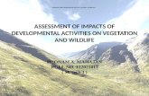 Assessment of Impacts of Developmental Activities on Vegetation and Wildlife