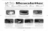 Mewsletter Winter 2013 Edition