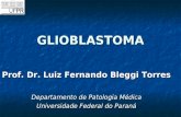 GLIOBLASTOMA Prof. Dr. Luiz Fernando Bleggi Torres Departamento de Patologia Médica Universidade Federal do Paraná