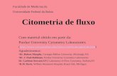 Citometria de fluxo Com material obtido em parte da: Purdue University Cytometry Laboratories (.