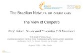 The Brazilian Network for Shale Gas The View of Cenpetro Prof. Ildo L. Sauer and Colombo C.G.Tassinari THE ROLE OF SHALE GAS CHANGING ENERGY FACTOR AND.