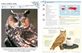 Wildlife Fact File - Birds - Pgs. 231-240