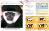 Wildlife Fact File - Mammals, Pgs. 111-120
