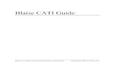Guide to CATI Interviews