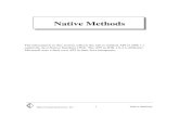 Java Native Methods