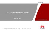 3G Optimization Flow