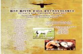 Bad River Extravaganza Horse Sale