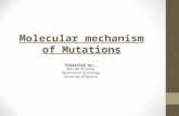 Molecular Mechanism of Mutations