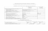 DSML Balance Sheet Dated 31-03-2011