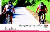 Cycle Tour of Burgundy