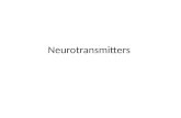 Neurotransmitters Lecture