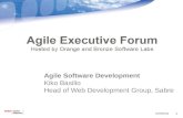 Agile Executive  Forum: Agile Development Practices at Sabre