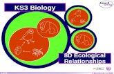 8 d ecological relationships (boardworks)