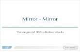 Dns reflection attacks webinar slides