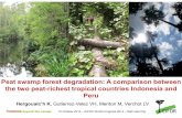 Peat swamp forest degradation: A comparison between Indonesia and Peru