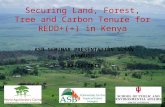 Securing Land, Forest, Tree and Carbon Tenure for REDD+(+) in Kenya