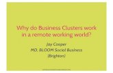 Why Do Business Clusters Work in a Remote Working World?