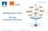 NetApp Epic Story: Orange Business Services