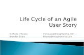 Life Cycle of an Agile User Story