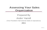 Assessing your sales organization
