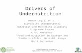 Bruce Cogill (Bioversity) - Drivers of Undernutrition
