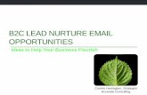 B2C Lead Nurture Email Opportunities