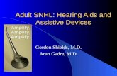 Hearing aids and assistive devices in kolkata   bengal speech & hearing pvt ltd - hearing aid consultant in kolkata