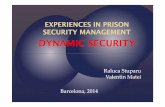 Experiences in prison security management. Dinamic Security (Romania)
