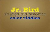 Jr Bird Color Riddles