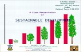 Class Presentation on "Sustainable Development"