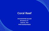 Coral reef presentation