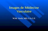 Images of Vascular Medicine (French) Symposia