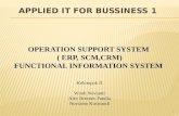Operation Support System (Erp, Scm, Crm )