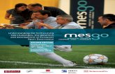 Mesgo Brochure 2012-14