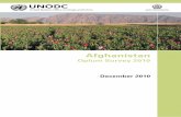 Afghanistan Opium Survey 2010 Web