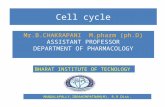 Basic Principles of Cell Injury and Adaptation