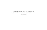 Paul's Linear Algebra Book