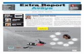Extra Report on Avaya Q2 2010