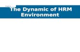 HRM - Chap 2 - The Dynamic of HRM Environment