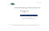 Pso Marketing Research Repor
