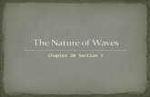 The Nature of Waves Ch 20.1 8th