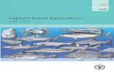 Cover: Line Drawings of Commercial Aquatic Species